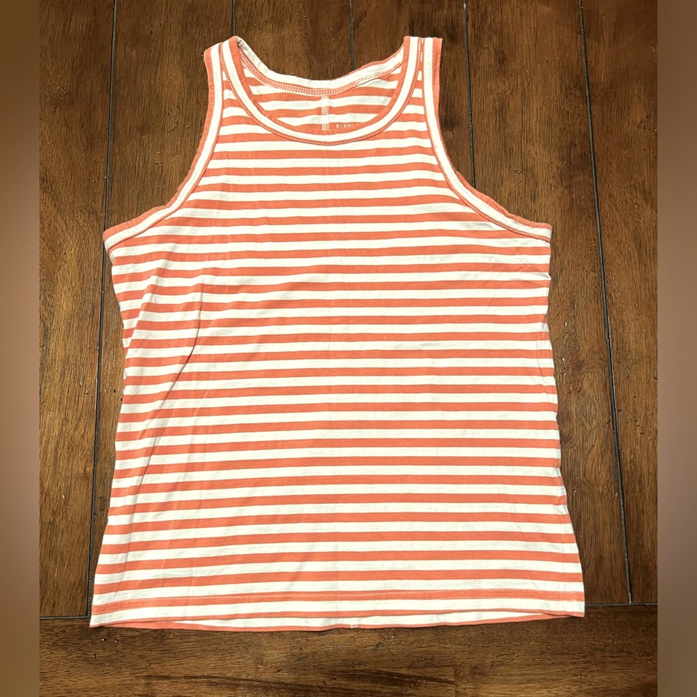Everlane striped tank